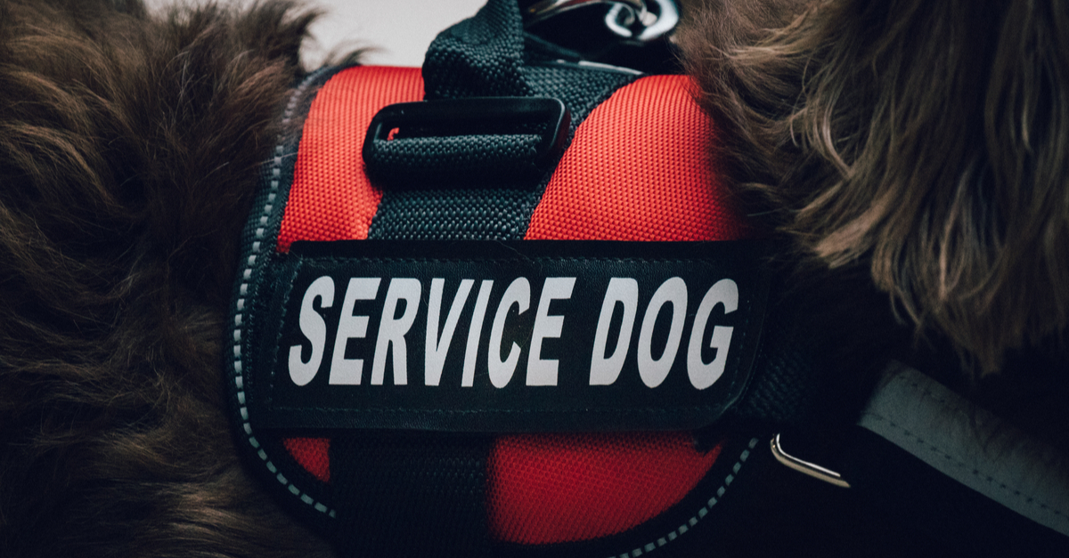Who Let the Dogs In? Service Animals and Your Business